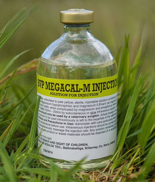 Megacal-M (Calcium)